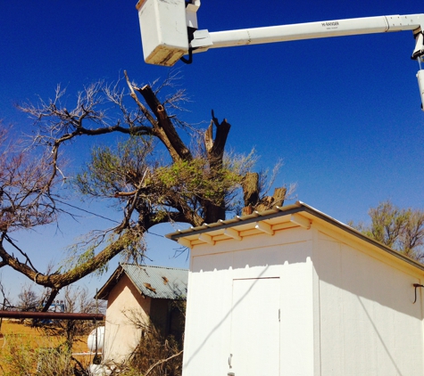 Tomcat's Tree Trimming - Wolfforth, TX