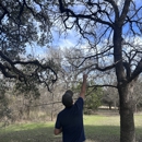 Leaf Tree Services - Arborists