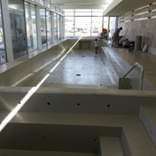 Gallery Image Number 6