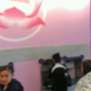 Yoyo Bliss Bar