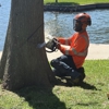 CBM Tree Services gallery