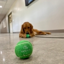 Digs Dog Care - Pet Services