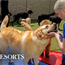 K9 Resorts Luxury Pet Hotel Madison - Pet Boarding & Kennels