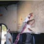 Alsobrook Painting Company