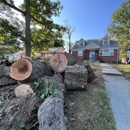 Prestige Tree Experts - Arborists