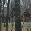 Oak Openings Preserve Metropark gallery