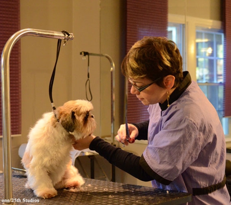 Best In Show - Dog Grooming by Axcium - Atlanta, GA