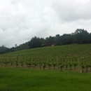 Joseph Phelps Vineyards - Wineries