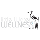 Little Waters Wellness with Dr. Kristina Wodicka - Chiropractors & Chiropractic Services