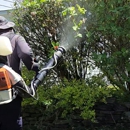 MiteBuster BedBug & Pest Control - Pest Control Services