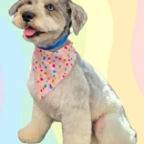 Cotton Candy Pup Salon