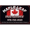 Maple Leaf Tree Service gallery