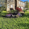 IW Landscaping gallery