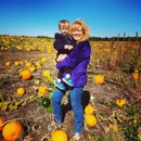 Seiple Farms - Farms