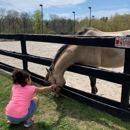 The Loft at Meadowbrook - Riding Academies