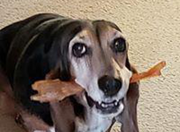 Treats On A Leash - Ames, IA