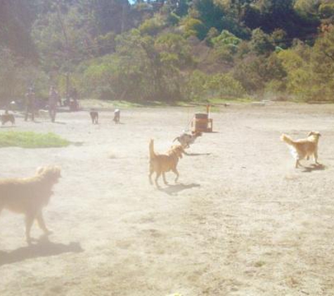 SitStayPlayWalks - Culver City, CA