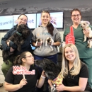 CityVet | Thornton - Pet Services