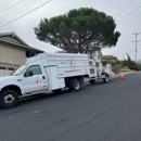 National wildfire Prevention - Tree Service