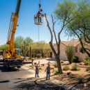 Your Way Tree Care