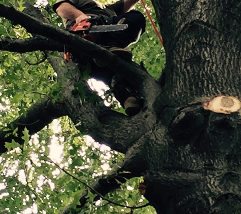 Del's Tree Service, LLC - Shawnee Mission, KS