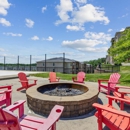 The View Apartments
