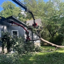 Justin Dugan's Tree Service