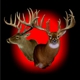 Sportsman's Choice Taxidermy