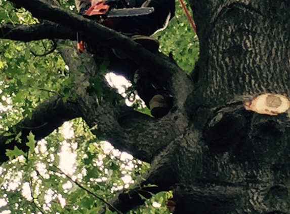 Del's Tree Service, LLC - Shawnee Mission, KS