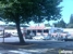 Earls Garage Inc. - Auto Repair & Service