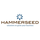 Hammerseed - Internet Marketing & Advertising