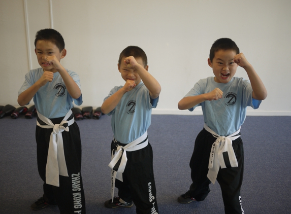 Zhang Kung Fu Institute Inc - Union City, CA