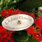 Lilybee Flowers Inc