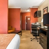 Comfort Suites Panama City near Tyndall AFB gallery