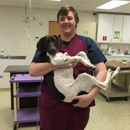 Harford Emergency & Referral Veterinary Services - Pet Services