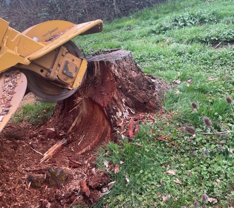 Affordable Stump Removal & Construction - Sweet Home, OR