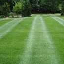 BrookBerry's - Landscaping & Lawn Services