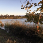 San Joaquin Wildlife Sanctuary