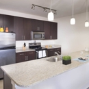 Bell Arlington Ridge Apartments - Apartments