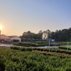 MNI Direct - Rock Hill gallery