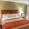 Comfort Inn gallery