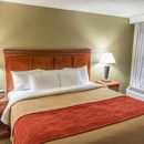 Comfort Inn Opelika - Auburn - Motels