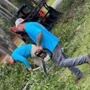 Taylor Tree Co. - Tree Service