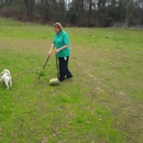 Doggie Doodle Doers