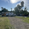 Tri-Star Tree Care gallery