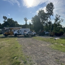 Tri-Star Tree Care