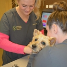 Clovercroft Veterinary Hospital