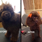 Doggie Doo's Pet Grooming