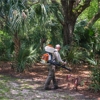 Shoreline Mosquito Defense gallery