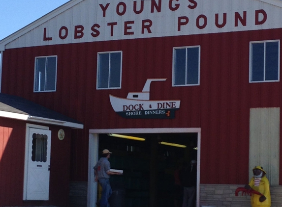 Young's Lobster Shore Pound - Belfast, ME